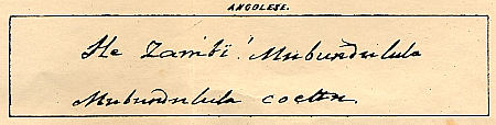 Mezzofanti's handwriting in Angolese : Click to enlarge picture